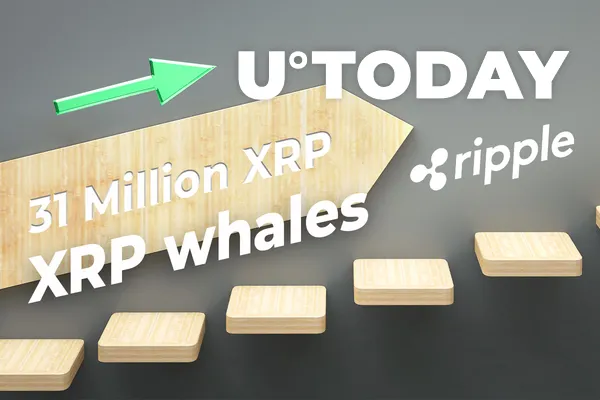 Ripple Helps Move 31 Million XRP, While Number of XRP Whales Soars in Q1 