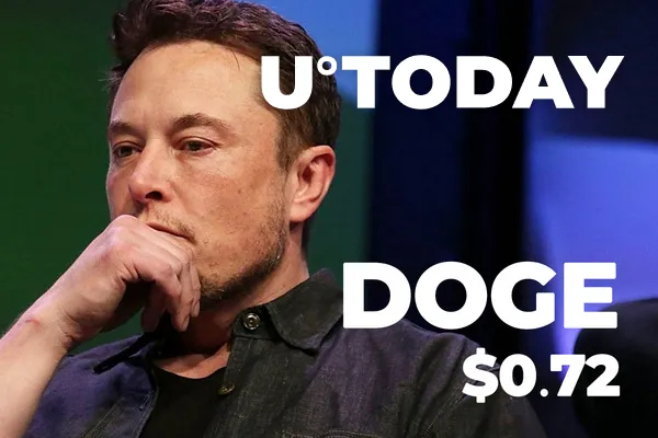 Elon Musk Hosting SNL Pushes DOGE to $0.72 ATH, Dave Portnoy Says, Owing Zero Dogecoins