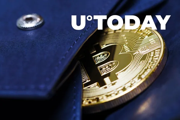 Number of Institutional Bitcoin Wallets with 100-1,000 Coins Resumes Growth: Glassnode