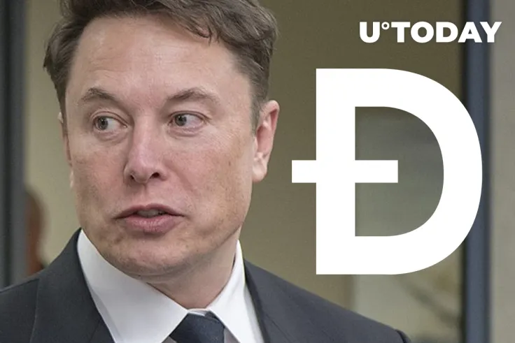 Anyone Grabbing DOGE Plays into Elon Musk’s Hustle: Chamber of Digital Commerce CEO