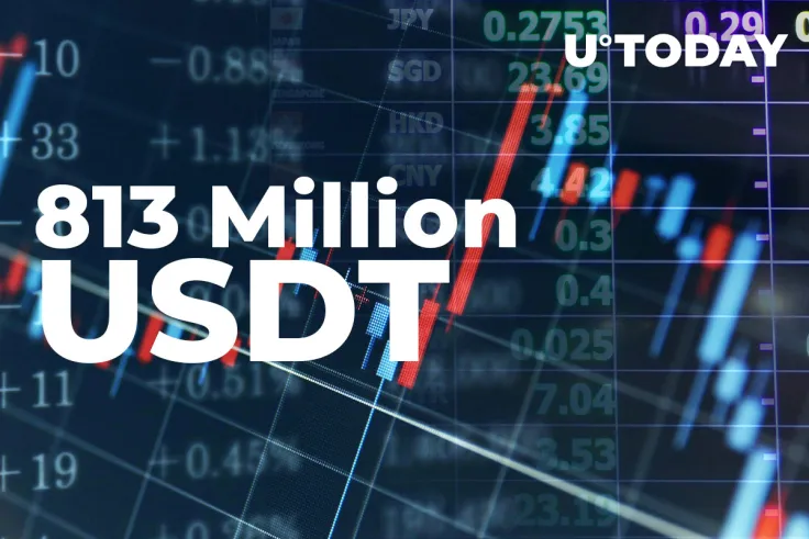  813 Million USDT Moved to Exchanges on Monday – Are Whales Grabbing Bitcoin Dip?