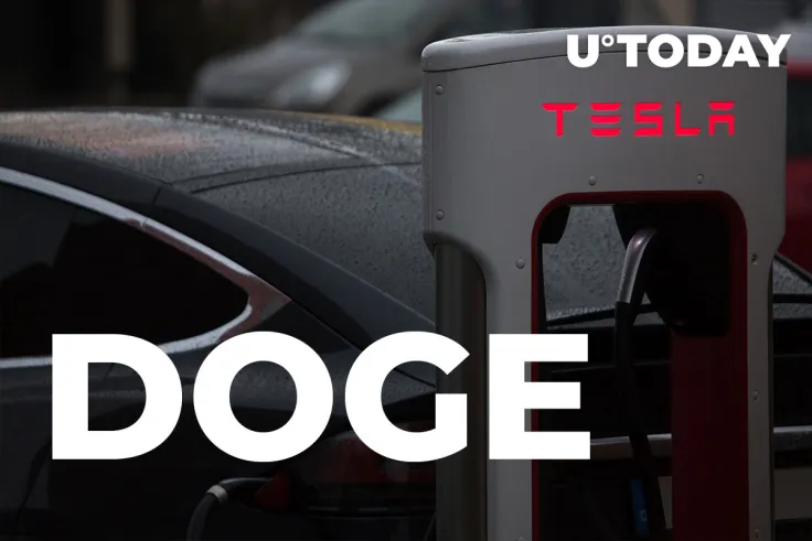 Will Tesla Add DOGE Now That 3.9 Million People Have Voted in Elon Musk’s Poll?