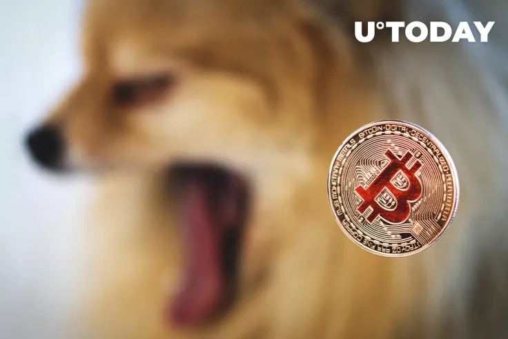 DOGE Washout and Bitcoin Strengthening Expected by Ark Financial's Crypto Analyst