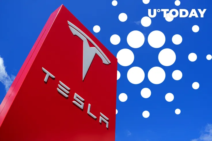 Cardano Foundation Says ADA Is Perfect Match for Tesla as Token Defies Crypto Crash with New All-Time High