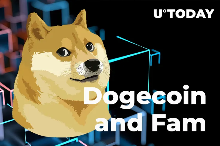 Dogecoin and Fam Back? Reasons Behind DOGE, AKITA, SHIB Pumps