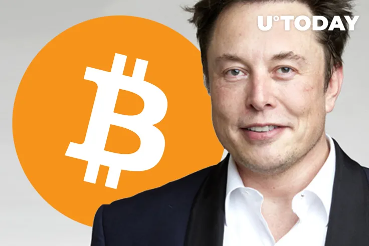 Elon Musk Calls Recent Meeting with North American Bitcoin Miners "Potentially Promising"