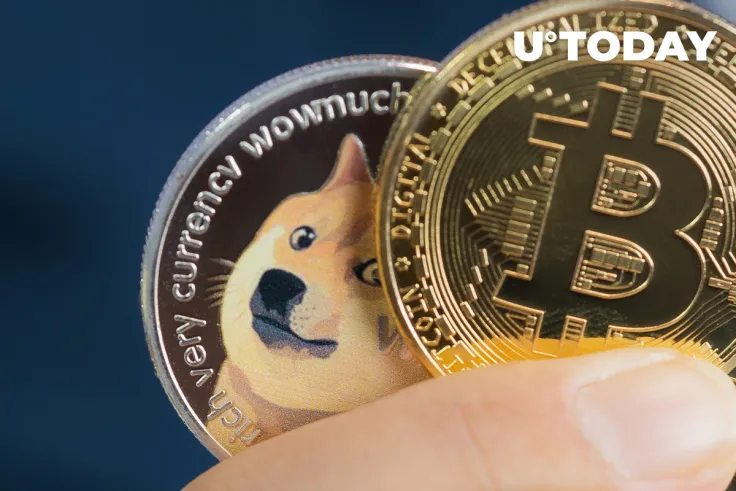 Dogecoin May Indicate Too Much Market Froth Throughout 2021: Bloomberg's Mike McGlone