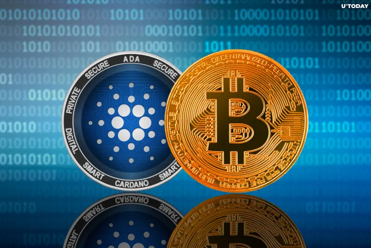 Cardano Only Major Coin in the Green This May as Bitcoin Eyes Historic Drop. Here's How Other Top Altcoins Have Performed