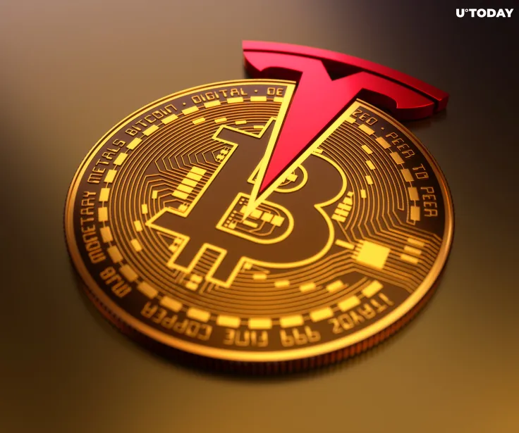 Ark Breaks with Elon Musk on Bitcoin, Describing Tesla's U-Turn as "Misguided"