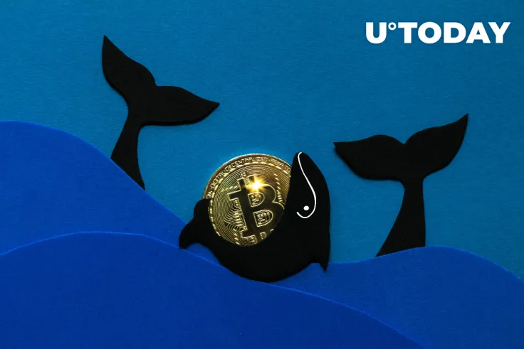 Biggest Bitcoin Wallets with 100K-1 Million BTC Are Sitting at 27-Month Highs: Santiment Data