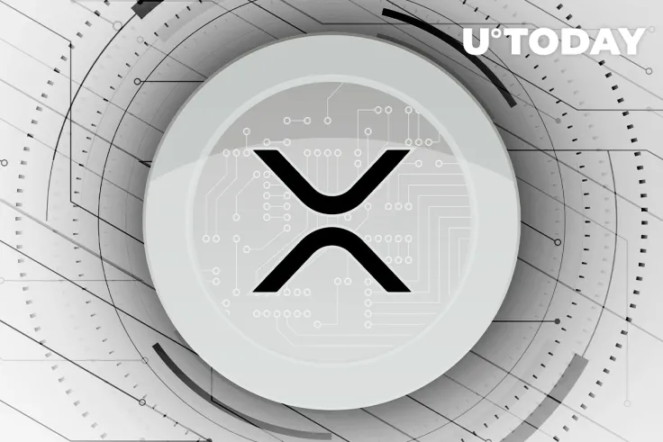 XRP’s Use Cases Are Basically Same as Bitcoin: Ripple’s Director of Developer Relations