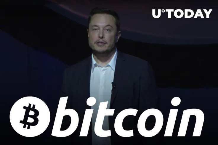 Elon Musk Receives Amusing Request to Start Pumping Bitcoin Again But He Says "No"