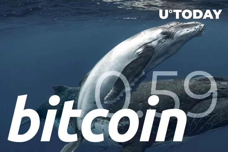Bitcoin Whale Ratio Across Exchanges Soars to 0.59, Here’s Why It May Be Bad for BTC