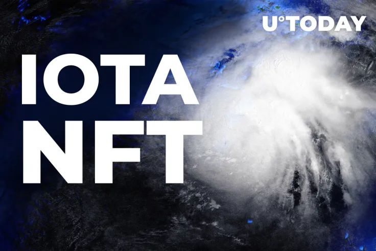 IOTA's NFT Marketplace Goes Live in Testnet: What Has Been Achieved So Far?