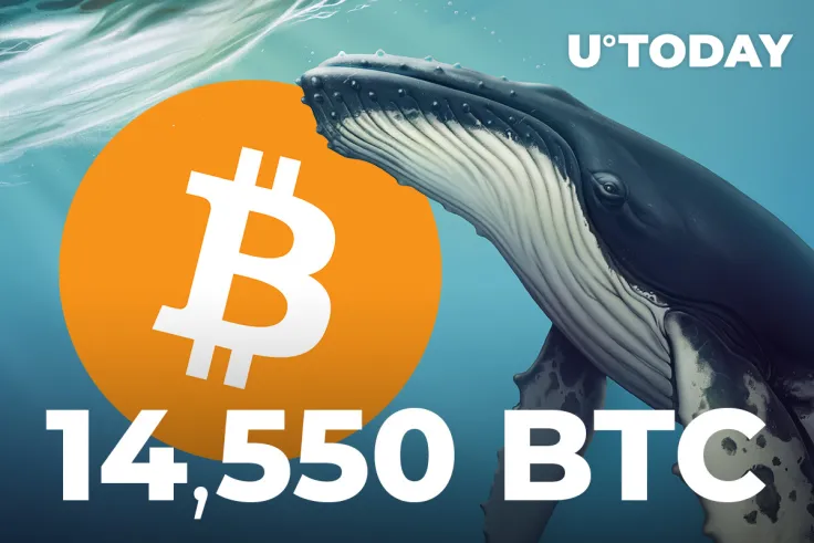  Whales Move 14,550 BTC to Binance, Bitcoin Selling Pressure Is High: CryptoQuant CEO