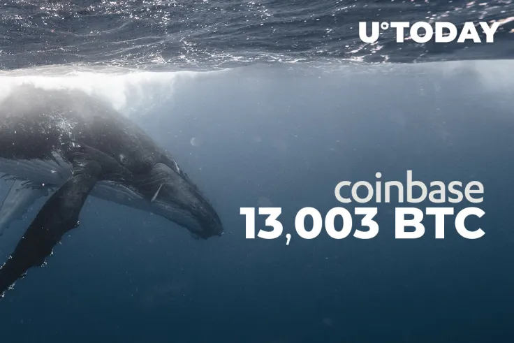 Coinbase Receives 13,003 BTC from Anonymous Whale Over Past 3 Hours