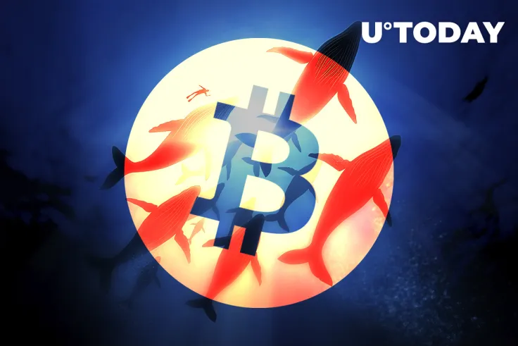 Bitcoin Whales Grabbing the Dip as Bitcoin Drops Below $30,000 and Miners Are Selling