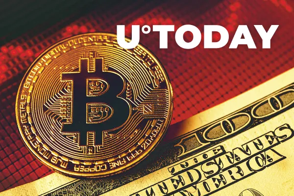 Investors' Risk Aversion Caused Cryptocurrency Market Decline: Markets Insider