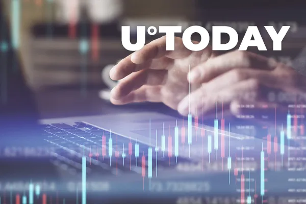 Crypto Investors Are Facing Severe Volatility and Regulatory Crackdowns, Says Bitstamp's CEO. What Does It Mean?