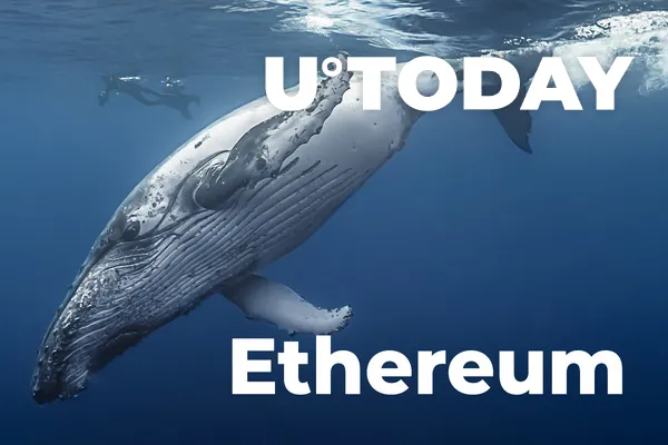 Ethereum Held by Whales Has Fallen to Its Lowest Volume since 2015: Santiment