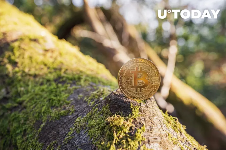 $45 Billion Asset Manager GoldenTree Has Bitcoin on Its Balance Sheet 