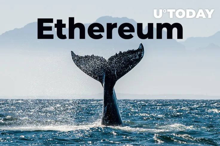 Ethereum “Millionaire Tier” Whales Now Hold 39.2% ETH Supply, Pushing Price Close to $2,700: Santiment