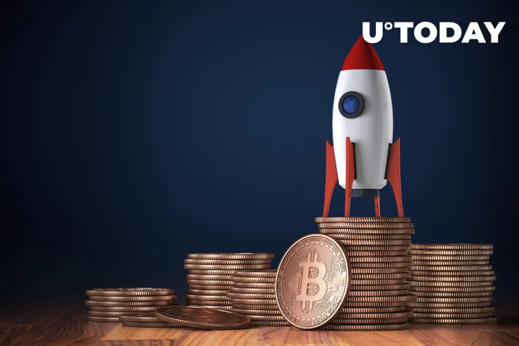 Bitcoin Entities Growth Hits New All-Time High: Report