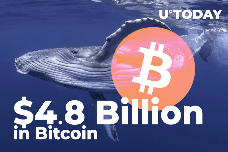Crypto Whales Shift $4.8 Billion in Bitcoin as BTC Hits $43,357