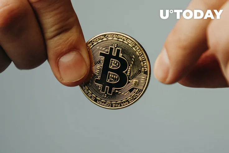 Bitcoin Long-Term Holders Stock up on Bitcoin as This Index Goes Green