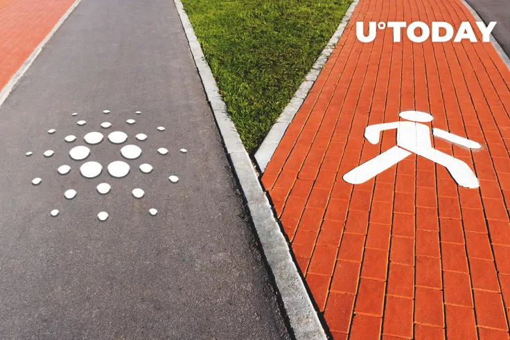 Cardano Foundation Parts Ways with Its Global Community Manager