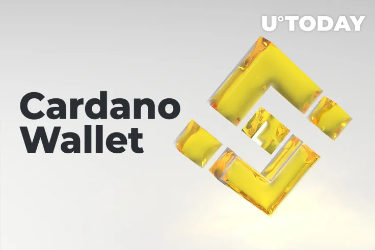 Binance to Put Cardano (ADA) Wallet on Maintenance on August 31
