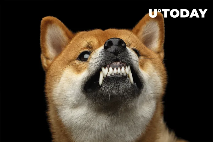 Angry Doge: Dogecoin Foundation's Lawyers Go After Copycat
