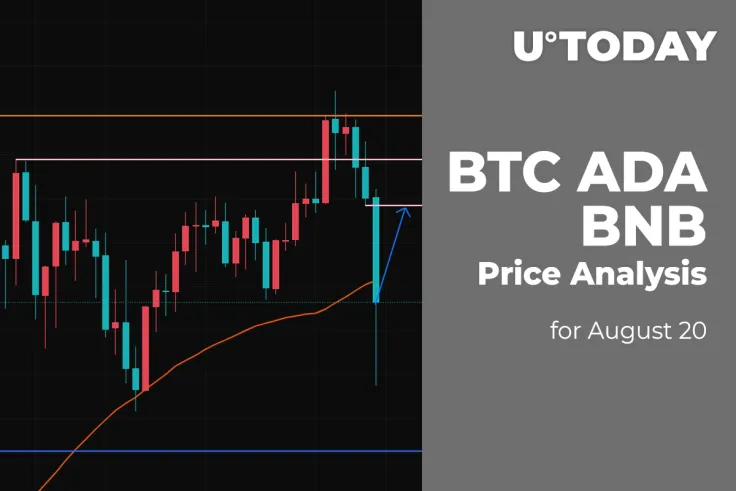 BTC, ADA, and BNB Price Analysis for August 20
