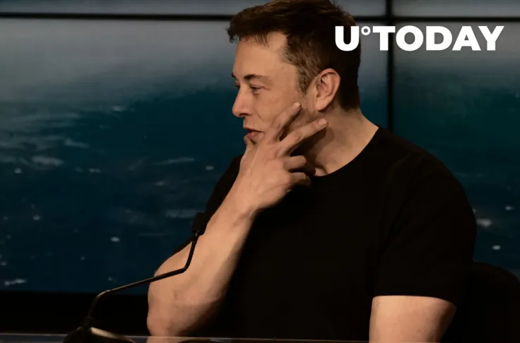 Elon Musk Praises Dogecoin-Trading Hamster for Outperforming Warren Buffett 