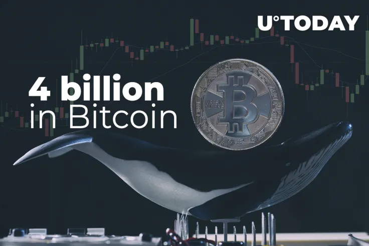 Whales Shift More $4 Billion in Bitcoin, While BTC Declines to $48,500