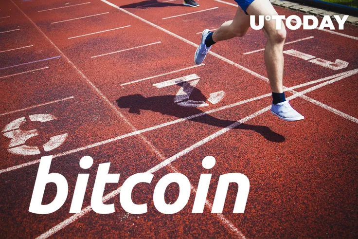 Here's How This Bitcoin (BTC) Bull Run Might End: Investor Lark Davis