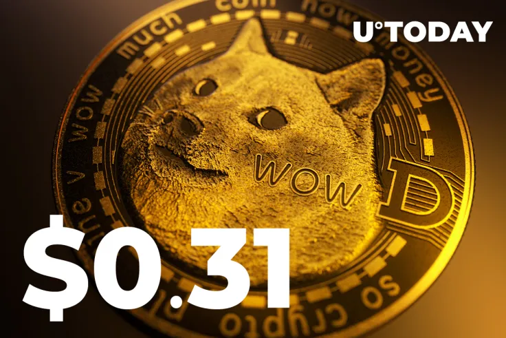 DOGE Is Back at $0.31 Without Elon Musk’s Tweets, Influencer Says