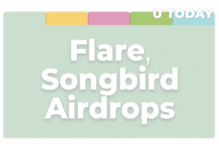 XRPL Explorer XRPScan Moves FLR, SGB Airdrops Data to Special Tab: Details