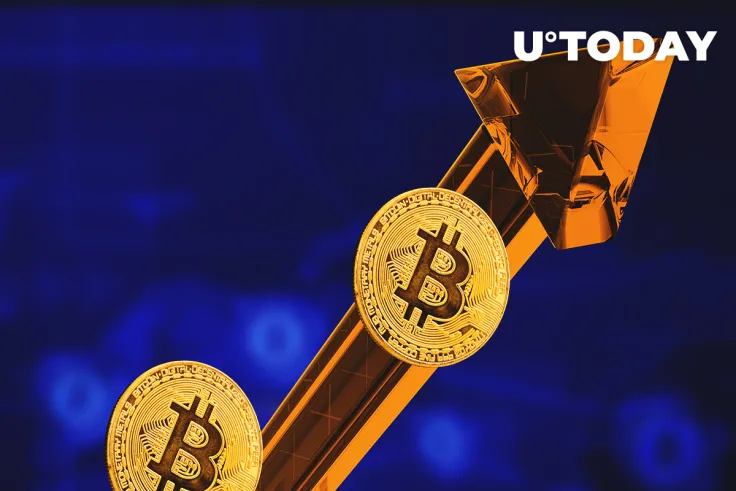 Three Arrows Capital Co-Founder Says Bitcoin Dominance Is Irrelevant 