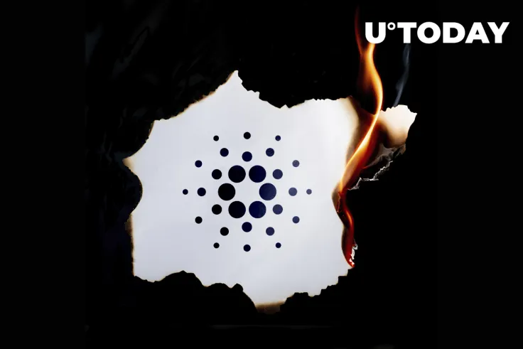 Cardano Creator Compares Burning ADA to Stealing Food