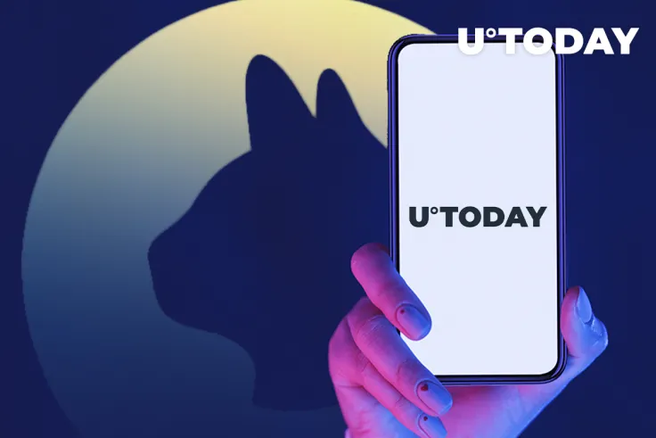 You Can Now Follow Stories by U.Today on Cryptocurrency Cat App