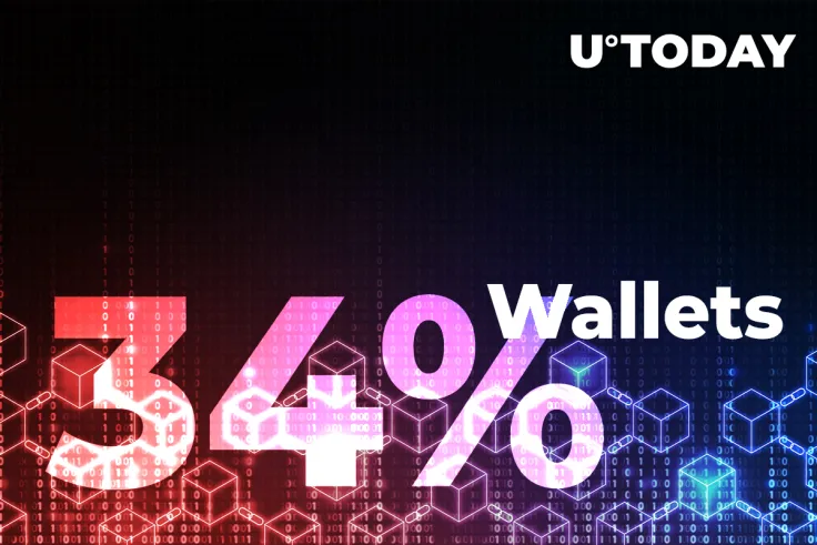 Here's How 34% of All Crypto Market Wallets Just Went Negative