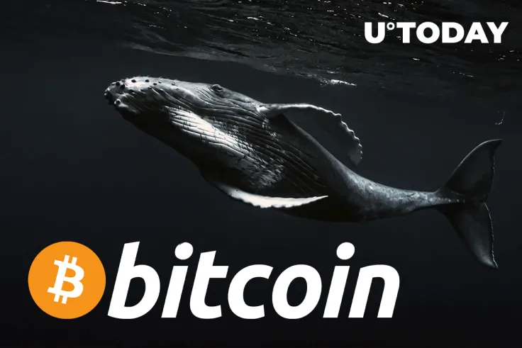 Here Is the First Sign of Whales Selling Their Bitcoin Holdings