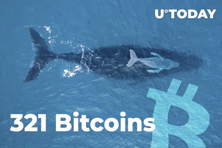 Whale Grabs 321 Bitcoins, While BTC Is Dropping, Holds 111,794 BTC in Total