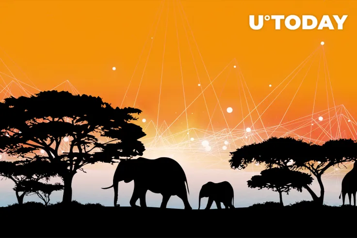 Gluwa Wallet Processed One Million Transactions Since Aella Integration: Details