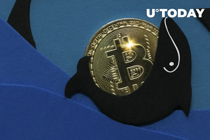 Another 60% Growth on Bitcoin Is Possible in the New Accumulation Period Initiated by Whales