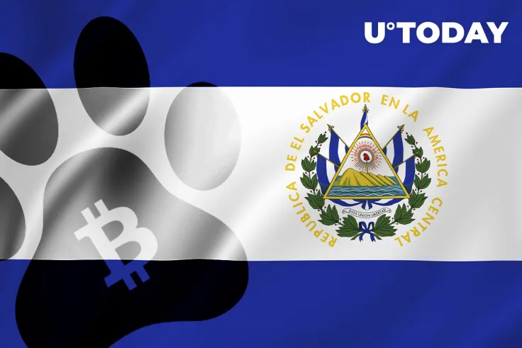 Bitcoin to Fund Construction of Vet Hospital in El Salvador