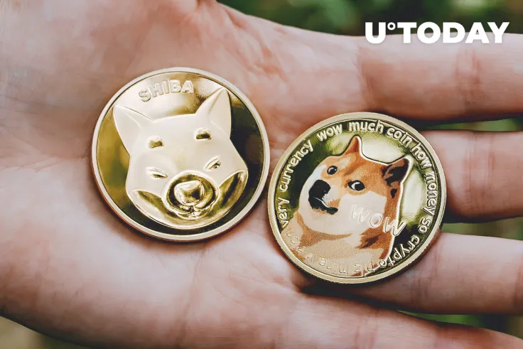 SHIB Becomes Top 11 Coin, Sitting Right Behind DOGE on CoinGecko