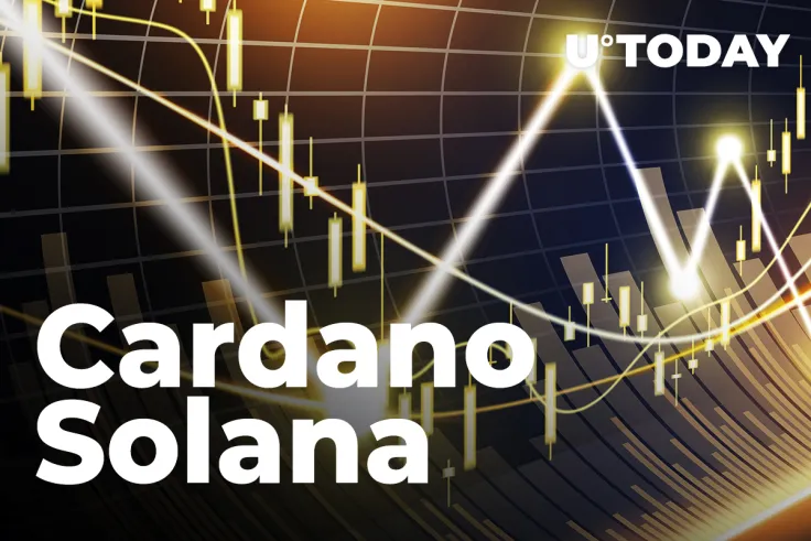 Cardano and Solana Continue to See Inflows While Ethereum Records Outflows