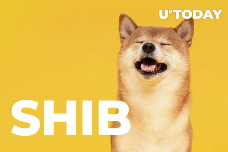 73% Respondents Getting SHIB, Dismissing FLOKI, Recent Poll Shows